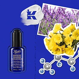 Midnight Recovery Concentrate Oil